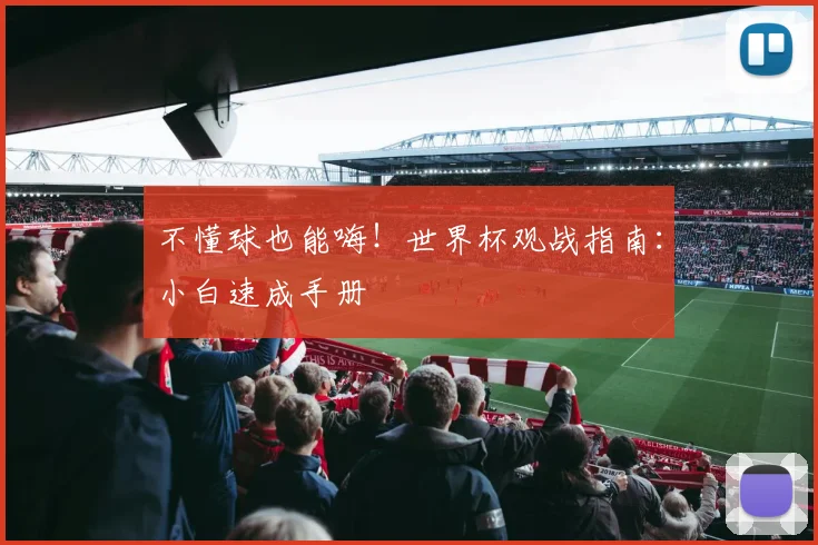 不懂球也能嗨！世界杯观战指南：小白速成手册