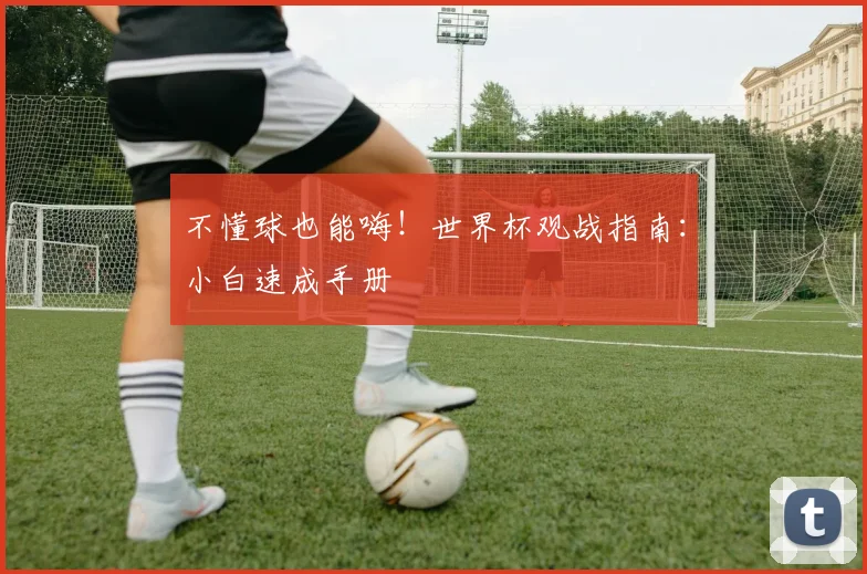 不懂球也能嗨！世界杯观战指南：小白速成手册